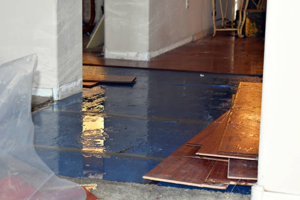Professional Basement Flood Cleanup technician working in Sunbright, TN